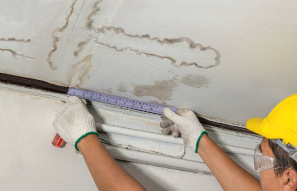 Reliable Water Damage Repair contractor in Mitchells, VA by Aqua Guard Water Damage